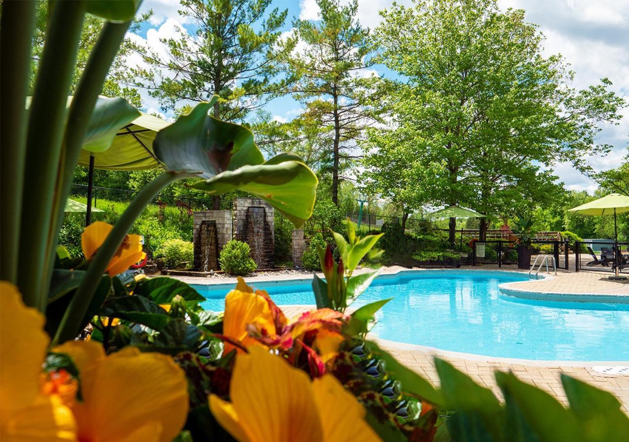 Hockley Valley Resort Orangeville Buitenkant foto